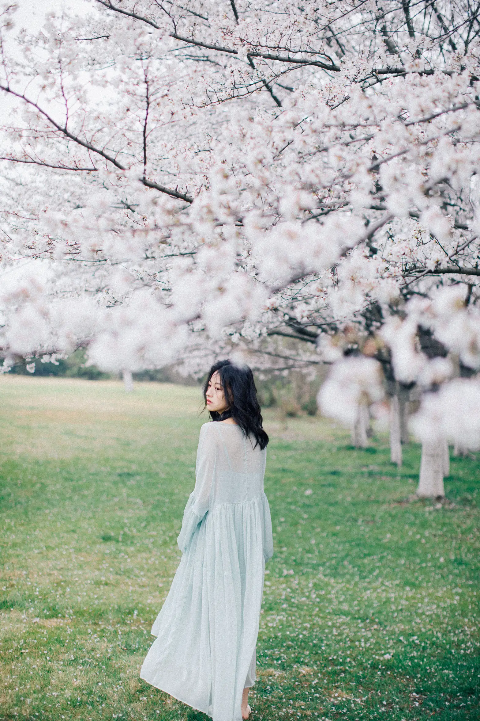 [YITUYU] 2022.05.27 Vol.1002 – Colorful Falling Cherry Blossoms September#[28P]-7